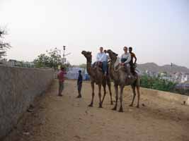 The happy couple on camels